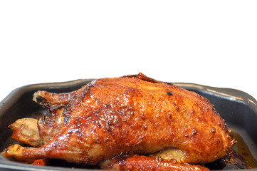 Close up of roast duck cooked with spices in Chinese style or Peking duck, isolated on white background with clipping path. 