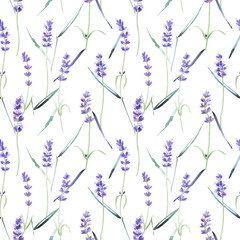 Obrazy na Szkle  Akwarela kwiatowy wzór, lawenda, polne kwiaty, trawa ogrodowa, liście na na białym tle. Malarstwo botaniczne, pień ilustracji.