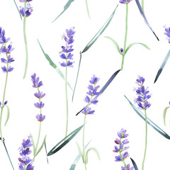 Obraz premium Watercolor floral pattern, lavender, wildflowers, garden grass, leaves on an isolated white background. Botanical painting, stock illustration.