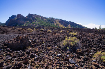 Volcanic view on Tenerife island, Spain
