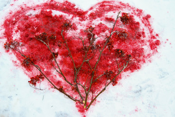 blood heart-shape in snow,Rowan red heart, spruce twigs, love, flame heart, ice and flame,...