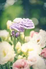 A beautiful bouquet of flowers for all occasions