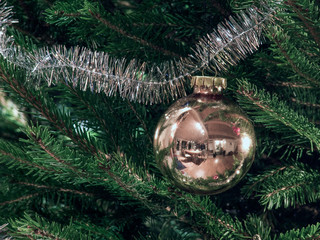 christmas decoration on tree, nacka sweden, stockholm, sverige