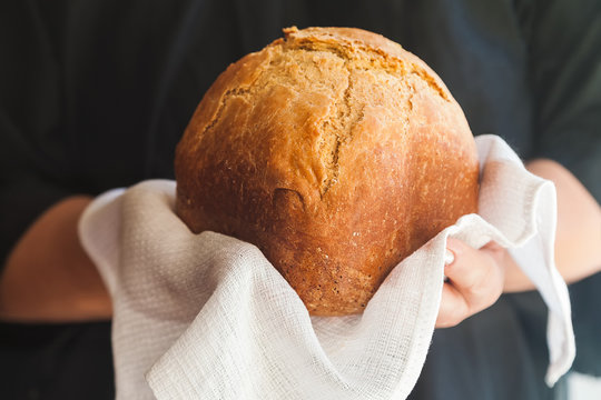 homemade white bread in hands on a white waffle towel, black apron