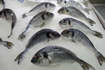 seabass on ice, greece