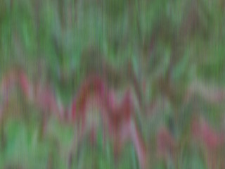 Wood texture background pattern. Dark hardwood planks surface of wooden board floor wall fence. Abstract timber decorative illustration.