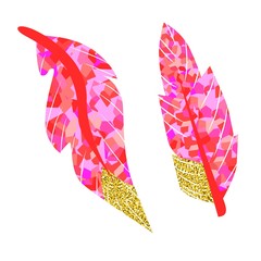  vector illustration of a pink feather on a white background