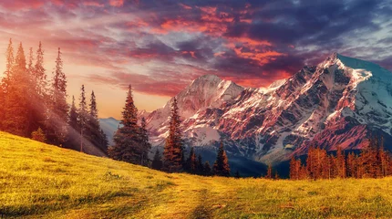 Wall murals Honey color Awesome alpine highlands in sunny day. Scenic image of fairy-tale Landscape with colorful sky under sunlit, over the Majestic Rock Mountains. Wild area. Megical Natural Background. Creative image
