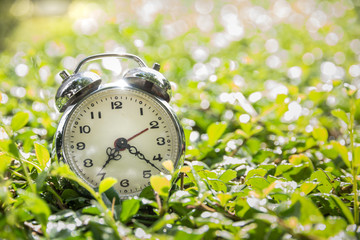 Alarm clock placed on a leaf and sunlight bokeh in the background abstract image.