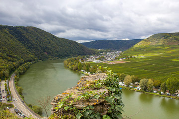 Aerial view of the Moselle valley with vineyards