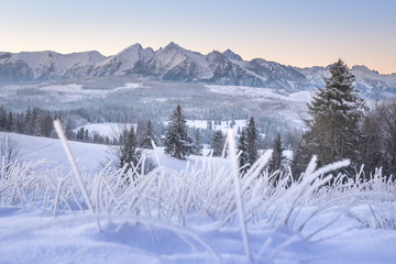 Fototapeta na wymiar Winter mountains. Snowy mountain range in Zakopane, Poland. High Tatra in winter season. Scenery frosty mountain valley