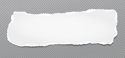 Piece of torn, white realistic grainy horizontal paper strip with soft shadow is on grey background. Vector illustration