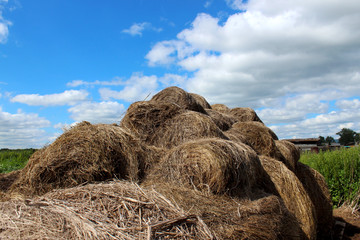 Straw bales and blue bright sky with clouds. Winter hay in the village