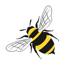 Lovely simple design of a yellow and black bee on a white background