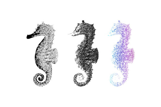 drawn seahorses on a white background. vector image