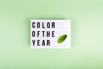 Retro lightbox with Color of the year wording and a mint leaf on the trendy solid green backdrop, place for text