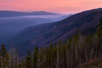 Fototapeta na wymiar Sunrise mountain view with Mt Hood in Oregon.