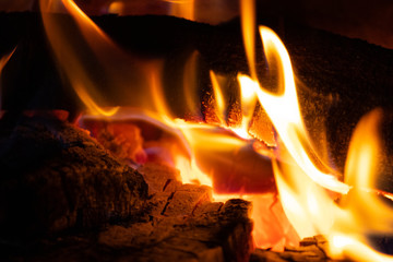 Logs and coal burning in fireplace