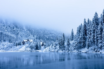 Winter nature. Snowy trees on icy lake shore in mountains. Scenic winter landscape. Beautiful ice mountain lake