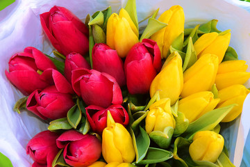 bouquet of red and yellow tulips