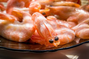 shrimp on the window