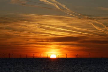 Fototapeta premium Windfarm on the sea at sunset
