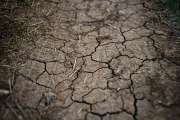Brown hard earth in cracks, rural road close-up.