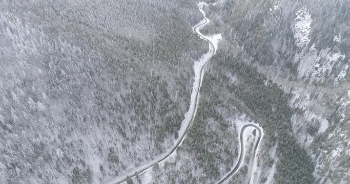 Aerial view of curvy road in the mountains cutting through snow covered forest. Winter landscape