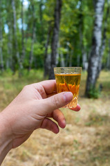 glass of whiskey in hand in nature