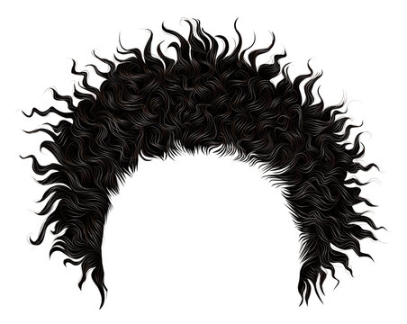 trendy curly disheveled african black  hair  . realistic  3d . fashion beauty style .unisex women  men