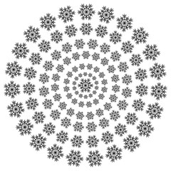 vector snowflakes on a white background. Beautiful winter ornament. black line brush