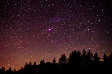 Fototapeta na wymiar Stars in the sky forest