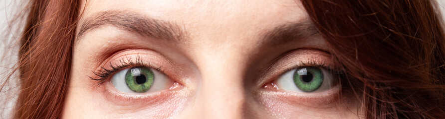 Close up portrait of green lady eyes .Girl looking away. Beauty and cosmetics concept