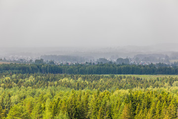 rainy sky over the forest