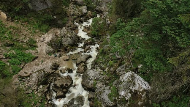 mountain creek flowing through the pine forest into the entrance of Cetatile Ponorului karst cave, Padis plateau, Apuseni mountains, Romania