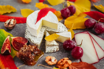 Set of aged cheese in autumn leaves on dark background
