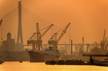 cranes in the port. Sunrise in Shanghai harbor. Huangpu river in early morning light.  Natural...