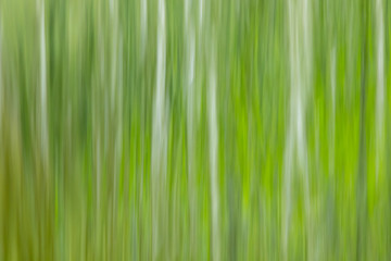Long exposure through falling water of waterfall with green leaves shining through