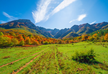 National Park of Abruzzo, Lazio and Molise (Italy) - The autumn with foliage in the italian...