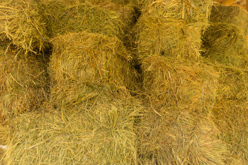 Close up bales of yellow straw. Natural background