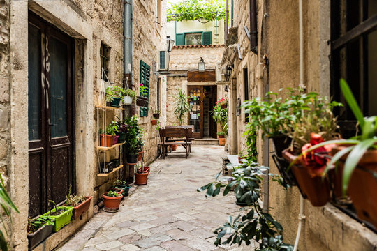 Fototapeta Old city of Kotor in Montenegro