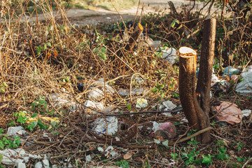 Plastic trash in park. Dirty garbage dump in forest or park, single use plastic on land. Cleaning...