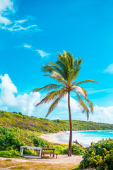 Fototapeta na wymiar Idyllic tropical beach with white sand, turquoise ocean water and big palm trees