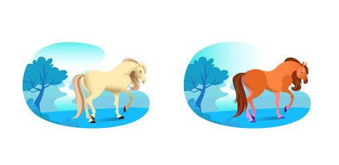 Horse in forest landscape. Use it for print or web desing.