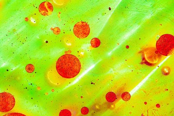 Oil drops on a water surface