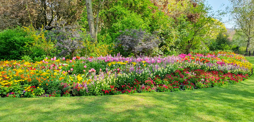 St. James's Park flowerbed in springtime