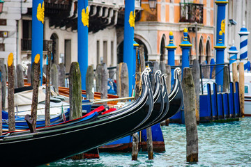 some gondolas docked in a row along the Grand Canal, near the Rialto Bridge in Venice, Italy
