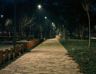 The road in the park the night with lanterns.