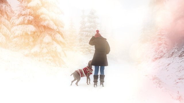 Frau und Hund bei einem Spaziergang zur Weihnachtszeit im Wald