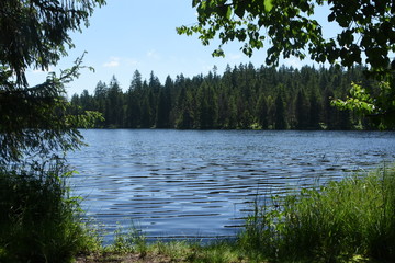 Gr&uuml;nes Fenster zum See